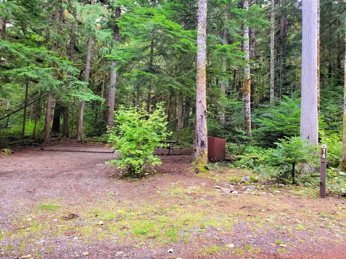 Campsite 14 Colonial Creek Campground North Cascades National Park 