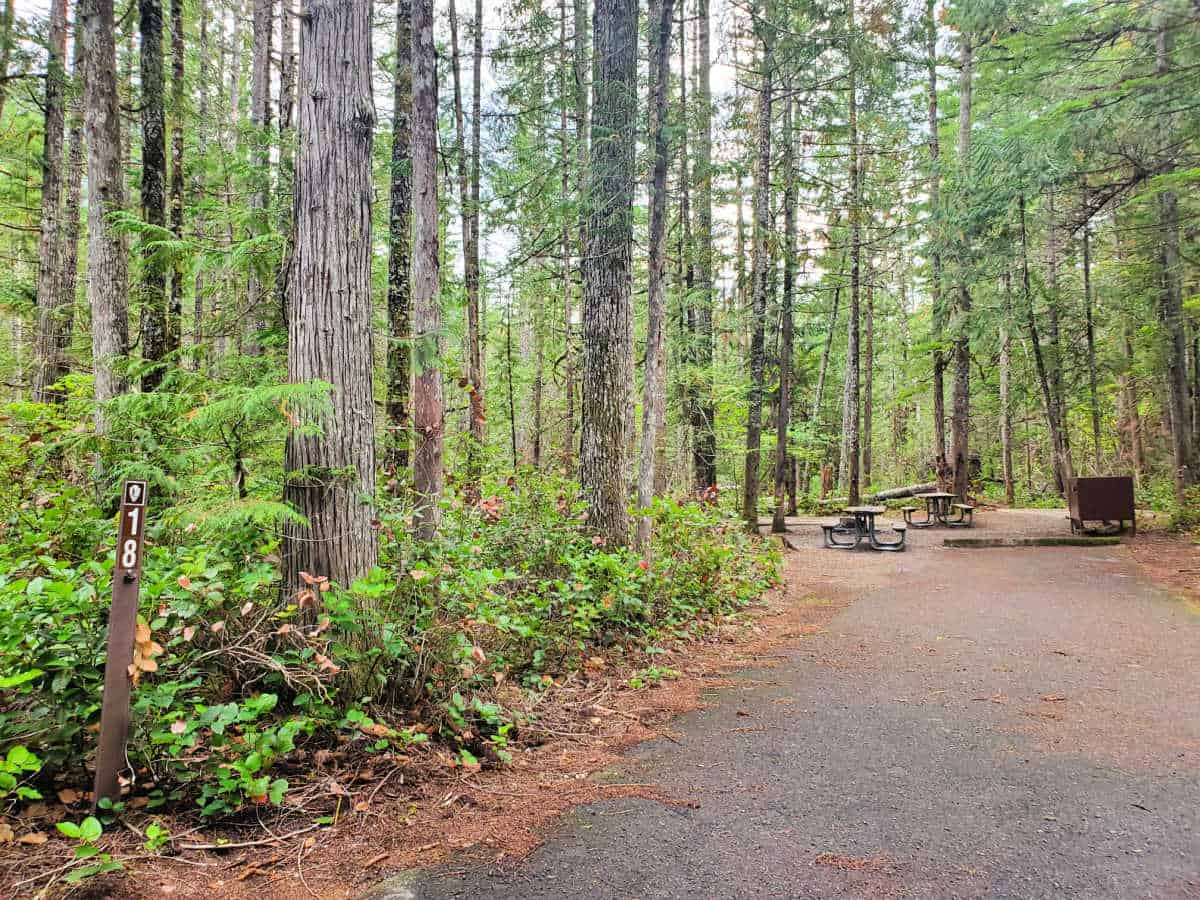 Campsite 18 Newhalem Creek Campground North Cascades National Park