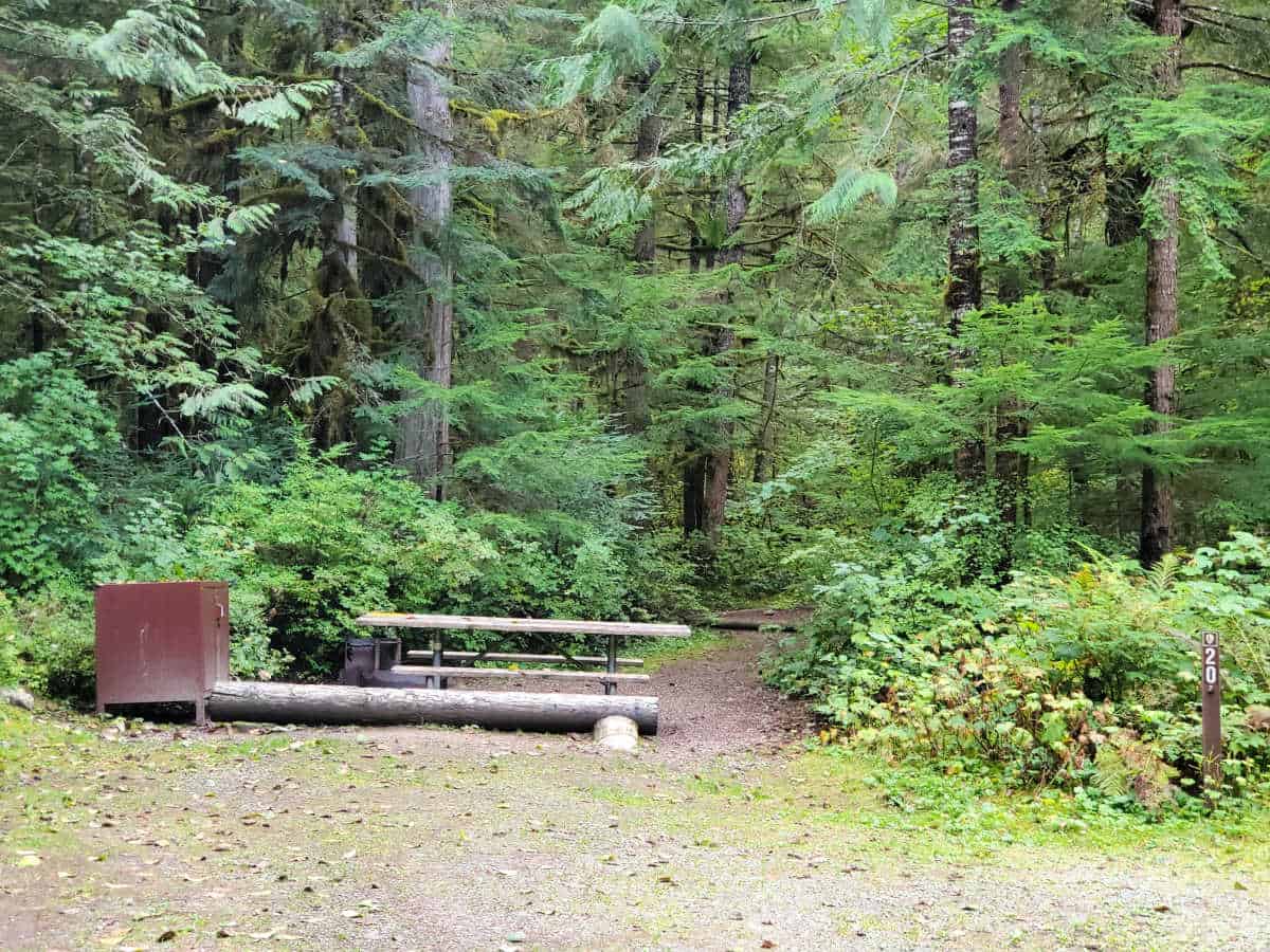 Campsite 20 Colonial Creek Campground North Cascades National Park 