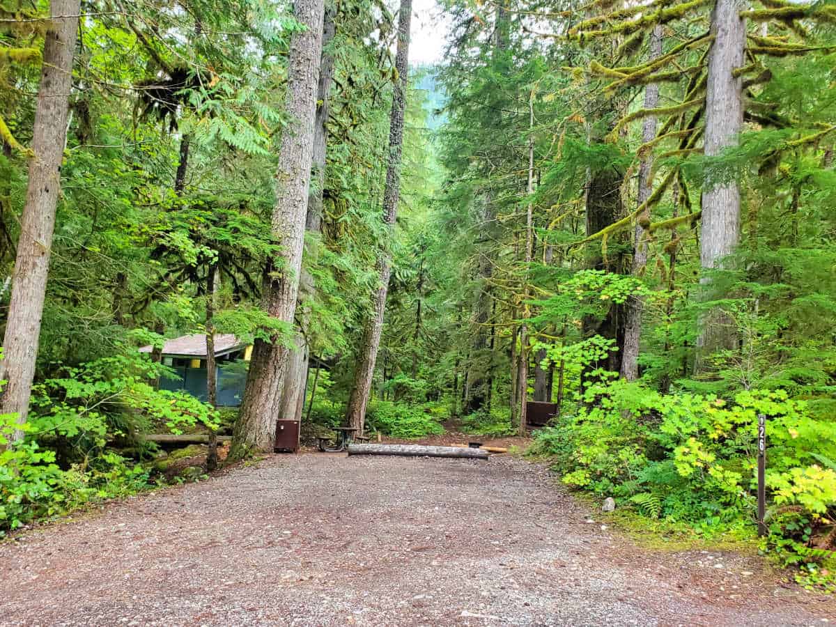 Campsite 26 Colonial Creek Campground North Cascades National Park 