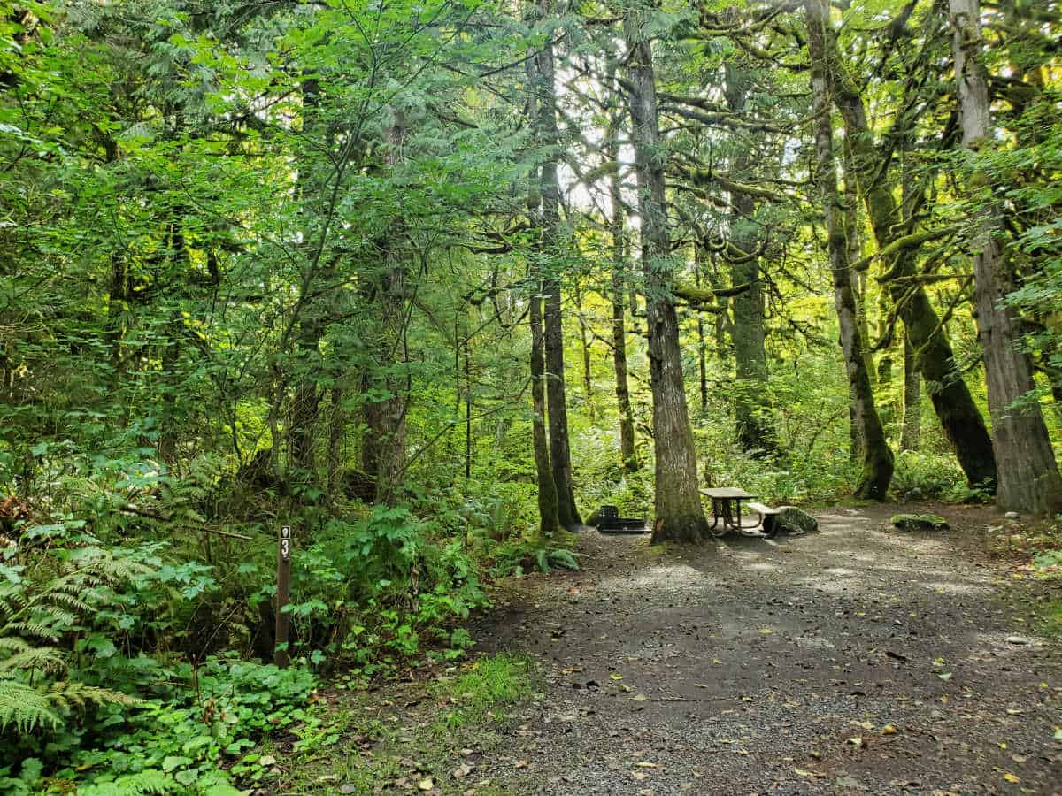 Campsite 3 Goodell Creek Campground North Cascades National Park