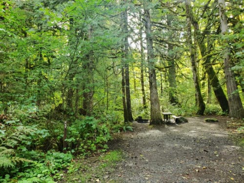 Goodell Creek Campground - North Cascades National Park | Park Ranger John