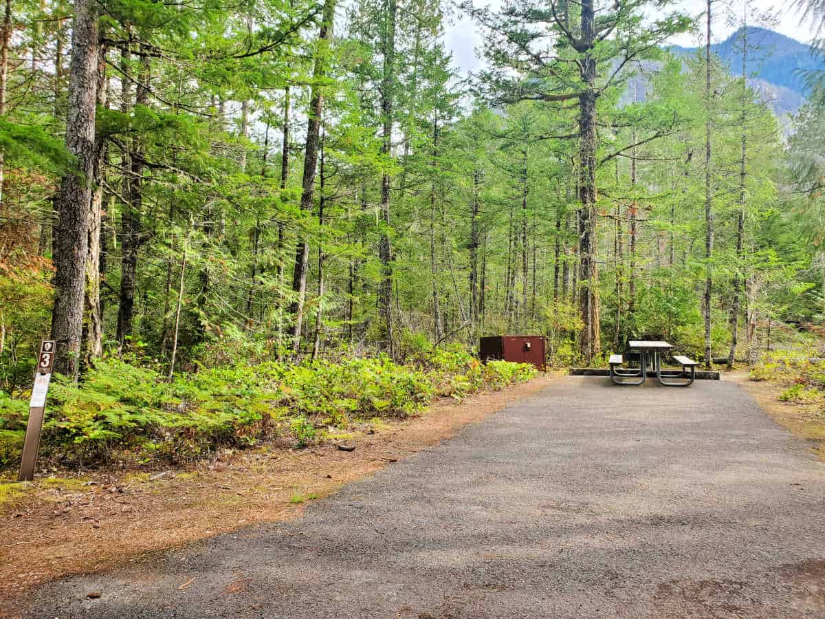 Campsite 3 Newhalem Creek Campground North Cascades National Park