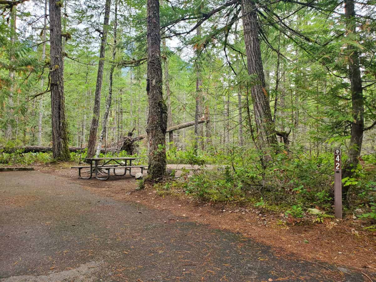 Campsite 42 Newhalem Creek Campground North Cascades National Park