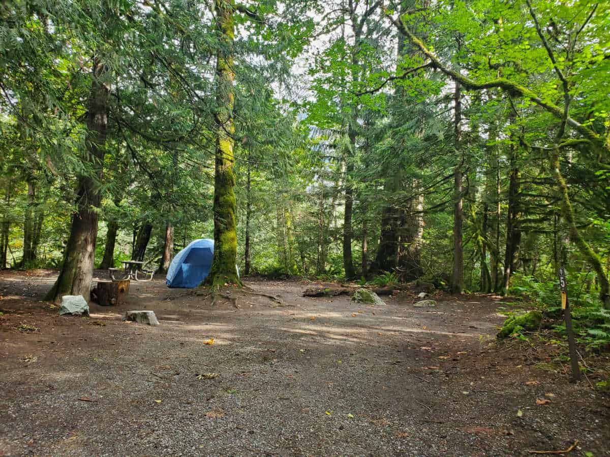 Campsite 5 Goodell Creek Campground North Cascades National Park