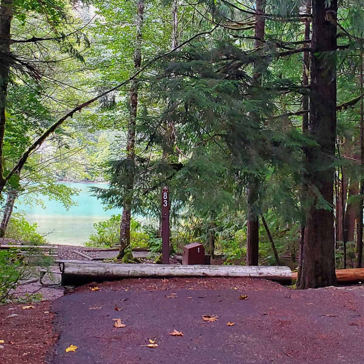 Campsite 83 Colonial Creek Campground North Cascades National Park 