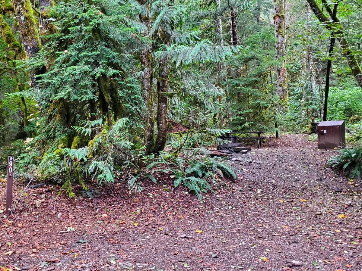 Campsite 90 Colonial Creek Campground North Cascades National Park 