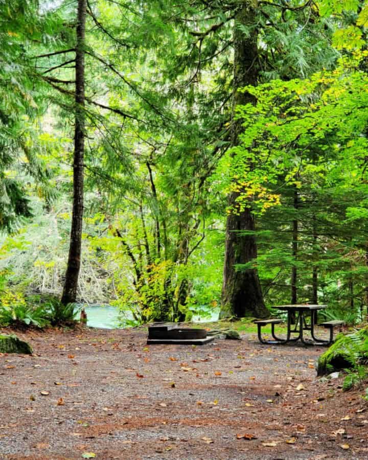 Campsite at Goodell Creek Campground North Cascades National Park