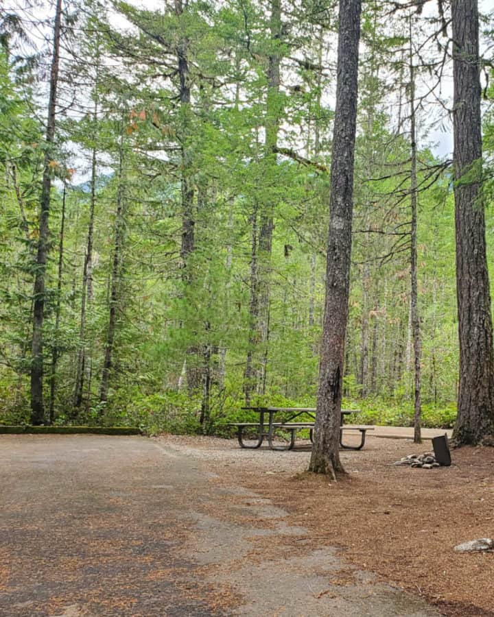 Campsite in Newhalem Creek Campground North Cascades National Park