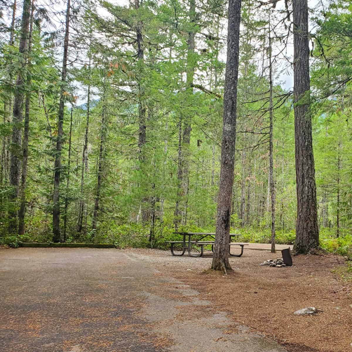 Campsite in Newhalem Creek Campground North Cascades National Park