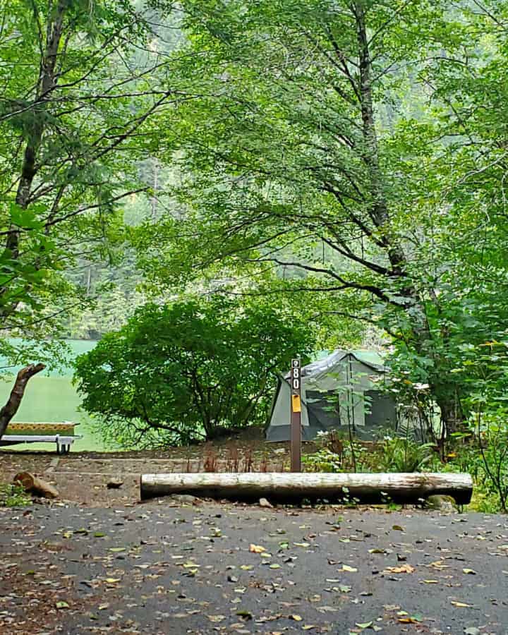 Colonial Creek Campground North Cascades National Park