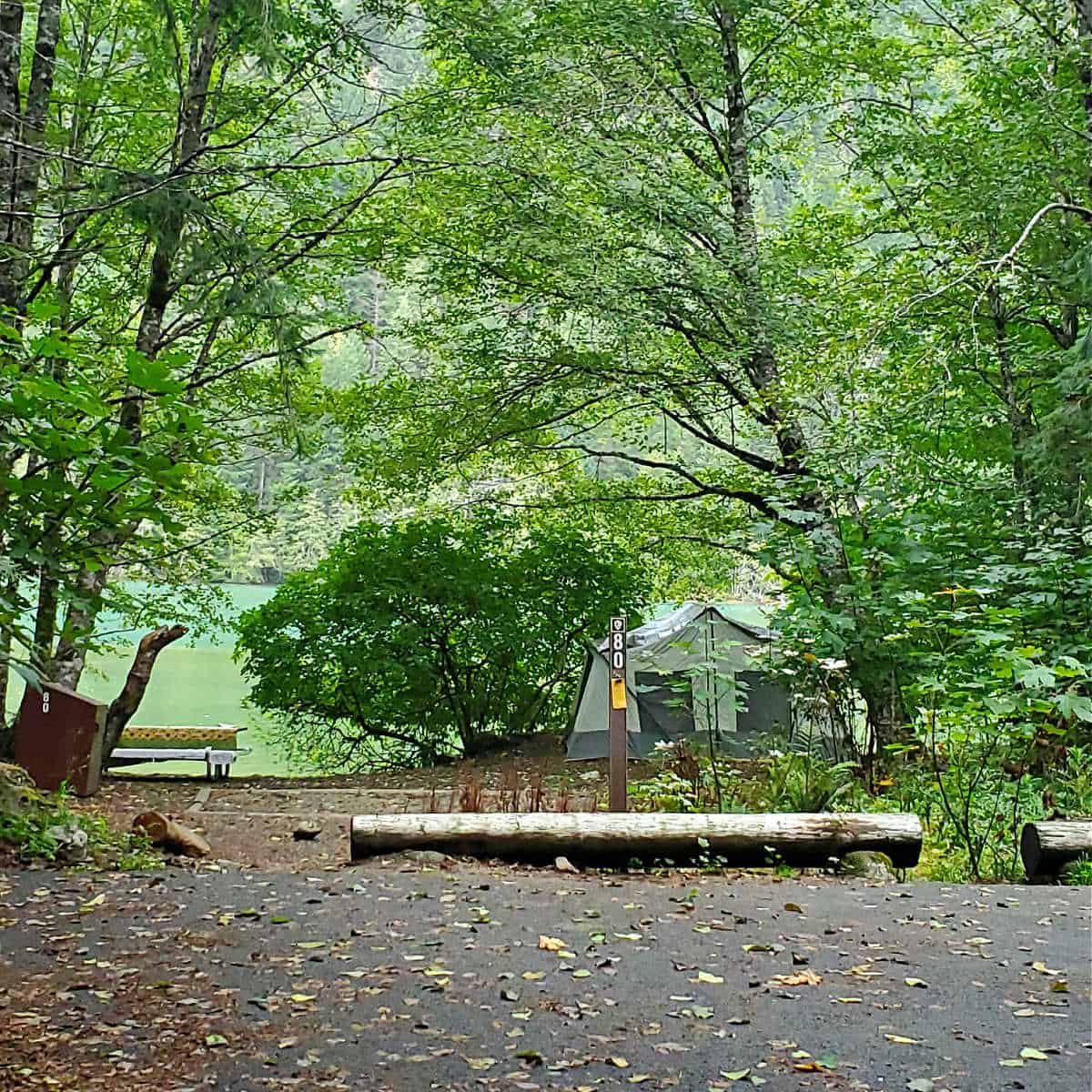 Colonial Creek Campground North Cascades National Park