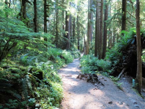 Sol Duc Falls Trail - Olympic National Park | Park Ranger John