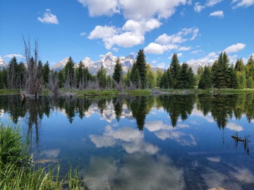 Schwabacher Landing - Grand Teton National Park | Park Ranger John