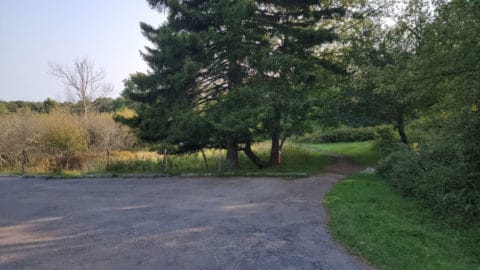 Big Meadows Campground - Shenandoah National Park | Park Ranger John