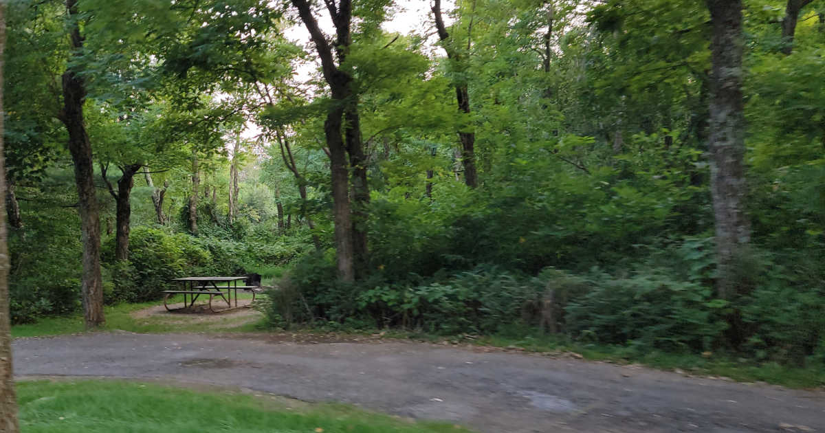 Loft Mountain Campground Shenandoah National Park Park Ranger John