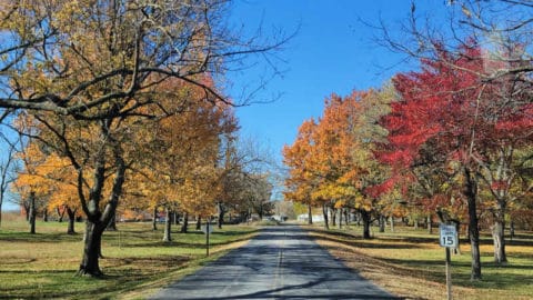 George Washington Carver National Monument | Park Ranger John