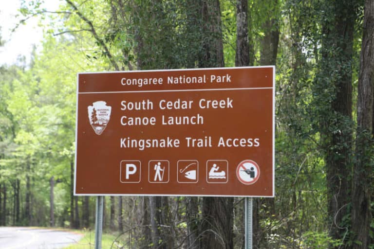 Congaree National Park - Epic Guide 2023 | Park Ranger John