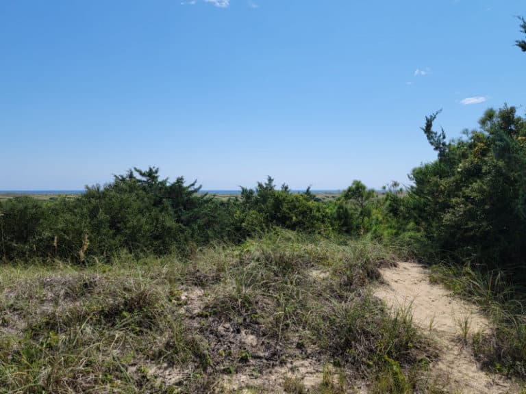 Frisco Campground - Cape Hatteras National Seashore | Park Ranger John