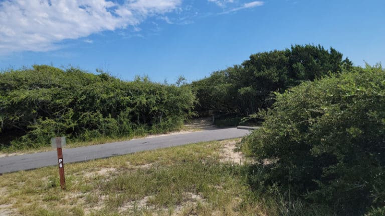 Frisco Campground - Cape Hatteras National Seashore | Park Ranger John