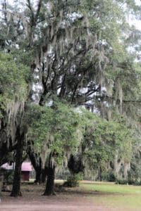 Reconstruction Era National Historical Park - South Carolina | Park ...