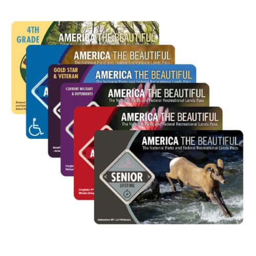 Stack of US National Park Passes showing different passes