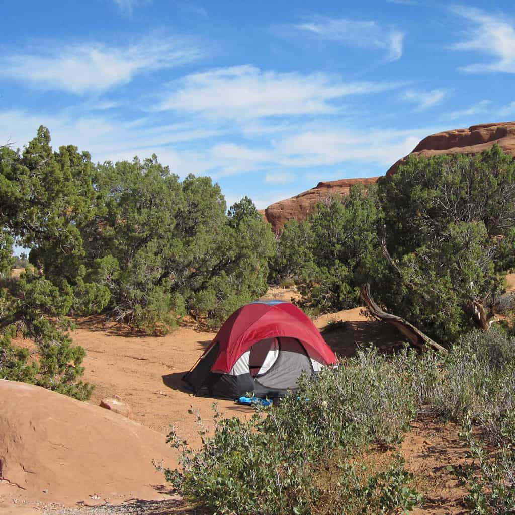 tent set up in campsite in Devils Garden Campground in Arches National Park