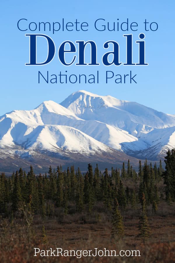 Denali National Park: 10 tips to make the most of your visit