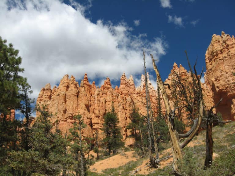 Navajo Loop Trail - Bryce Canyon National Park | Park Ranger John