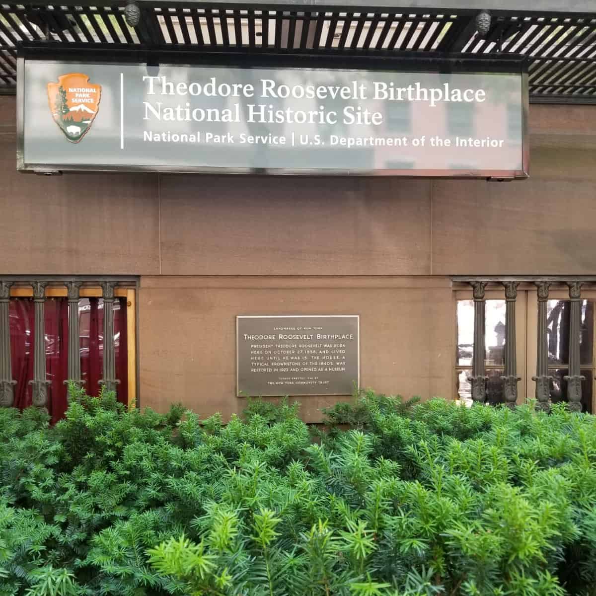 Theodore Roosevelt Birthplace New York