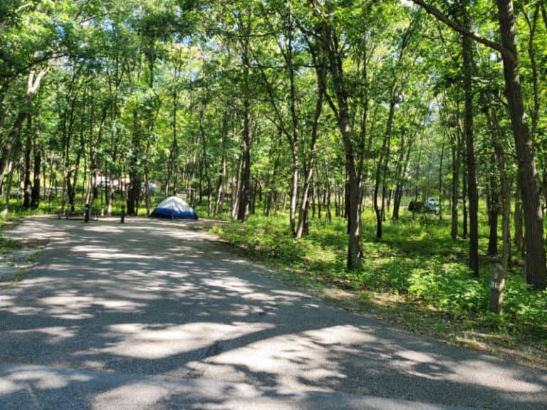 Dunewood Campground - Indiana Dunes National Park  Park Ranger John