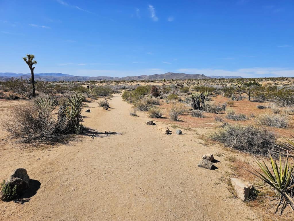 California Riding and Hiking Trail in Joshua Tree National Park CA