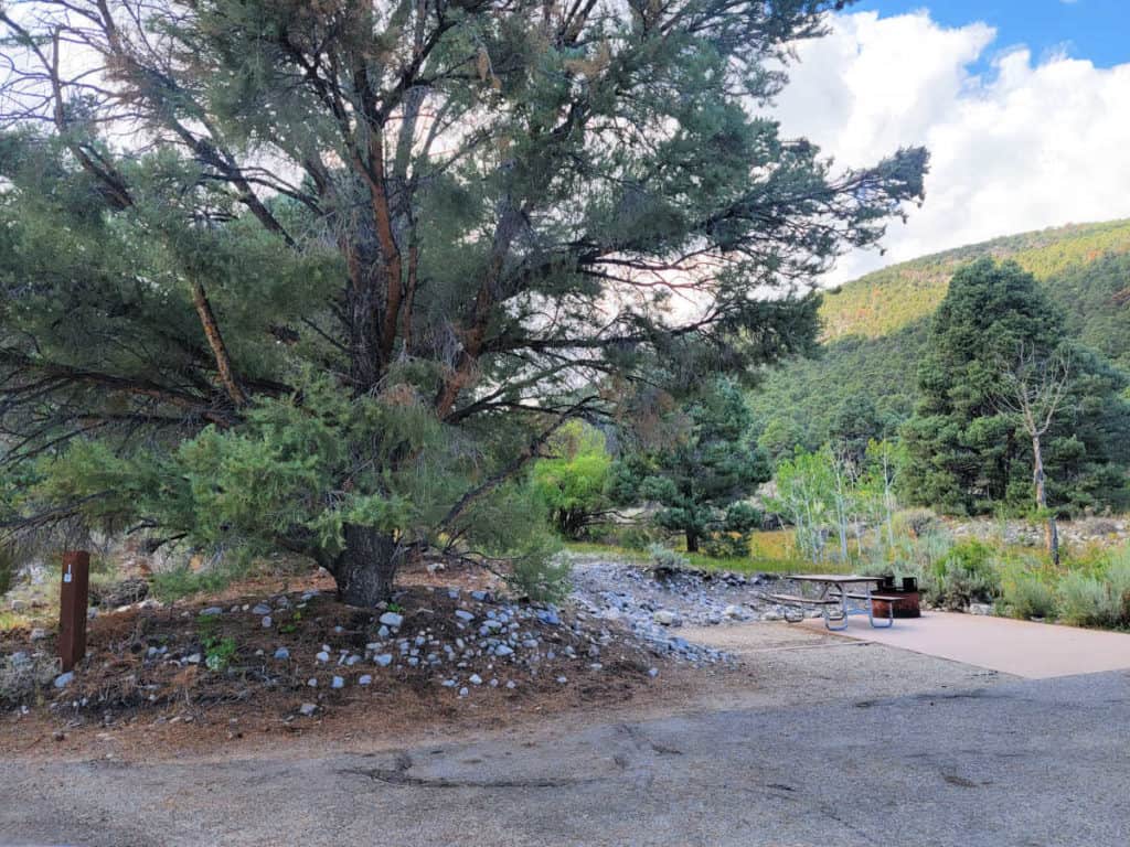 Campsite 1 Lower Lehman Creek Campground Great Basin National Park