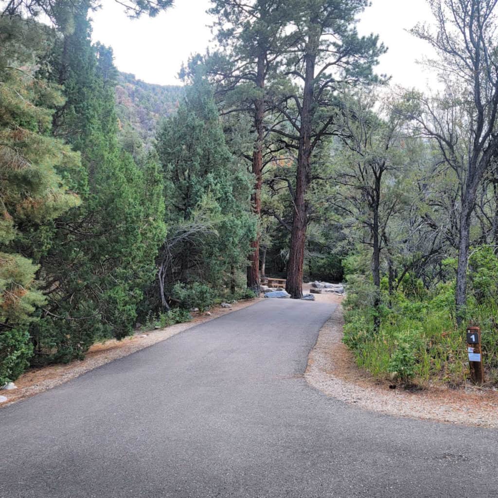 Campsite 1 Upper Lehman Creek Campground Great Basin National Park Baker NV