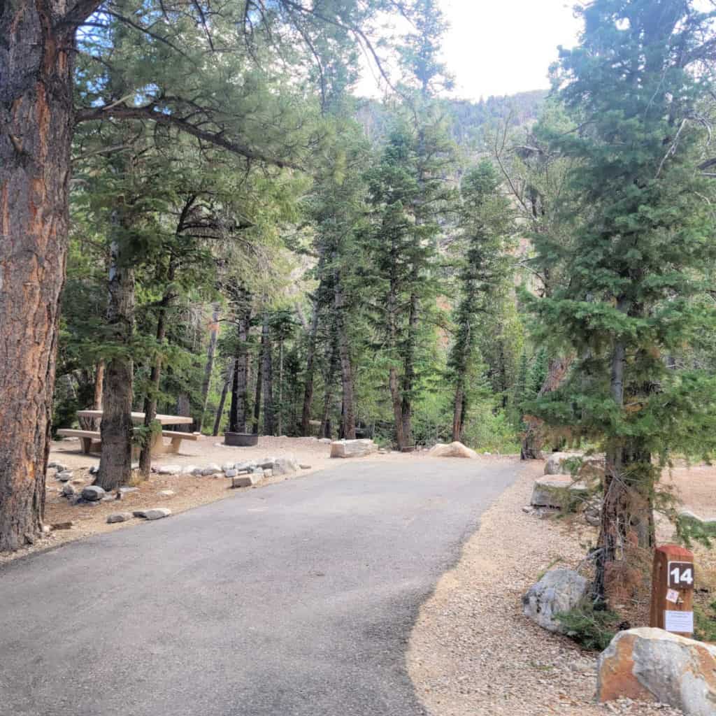 Campsite 14 Upper Lehman Creek Campground Great Basin National Park