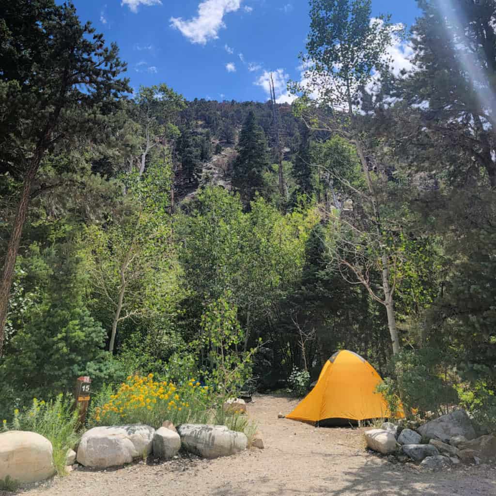 Campsite 15 Baker Creek Campground Great Basin National Park