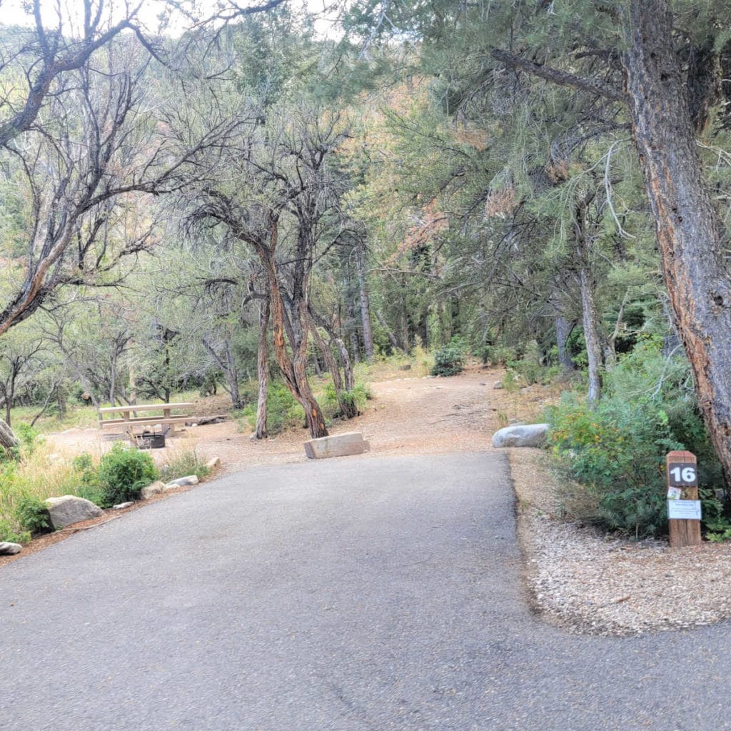 Campsite 16 Upper Lehman Creek Campground Great Basin National Park