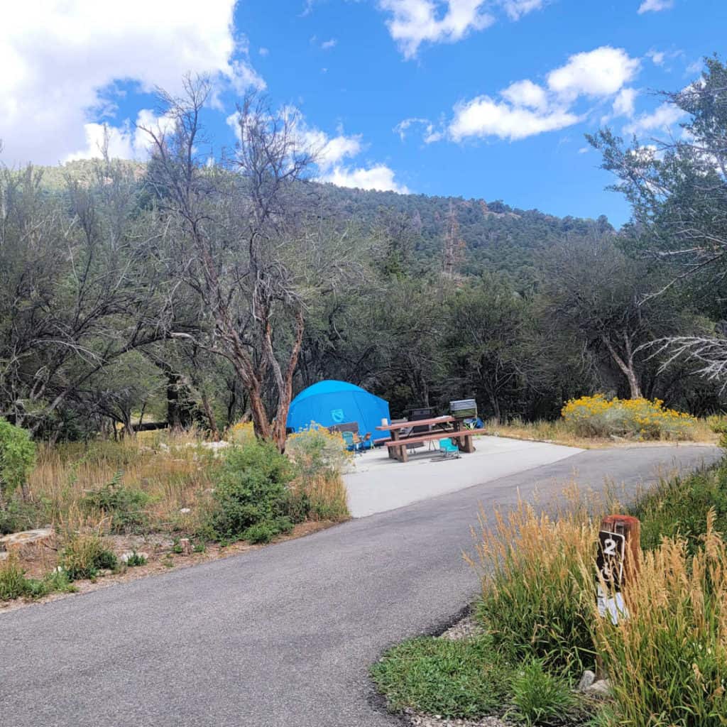 Campsite 2 Upper Lehman Creek Campground Great Basin National Park