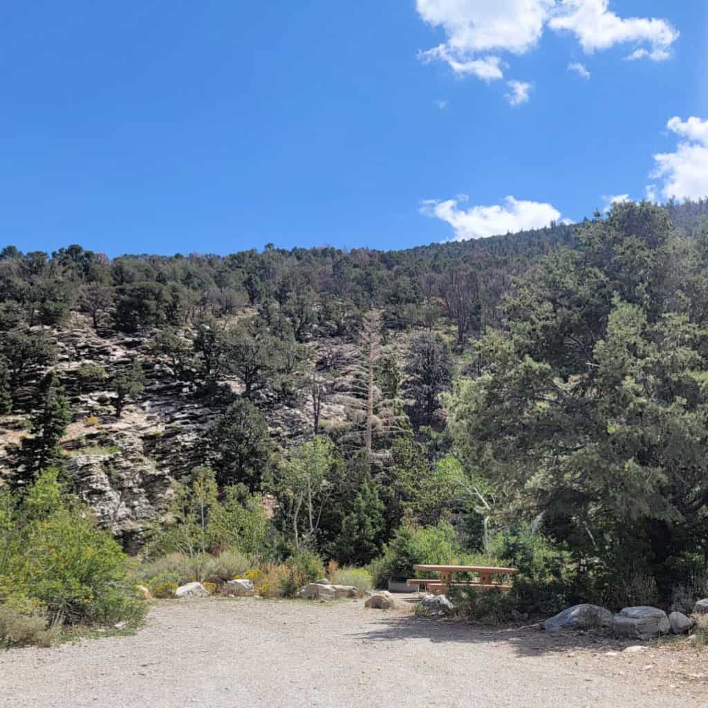 Campsite 21 Baker Creek Campground Great Basin National Park