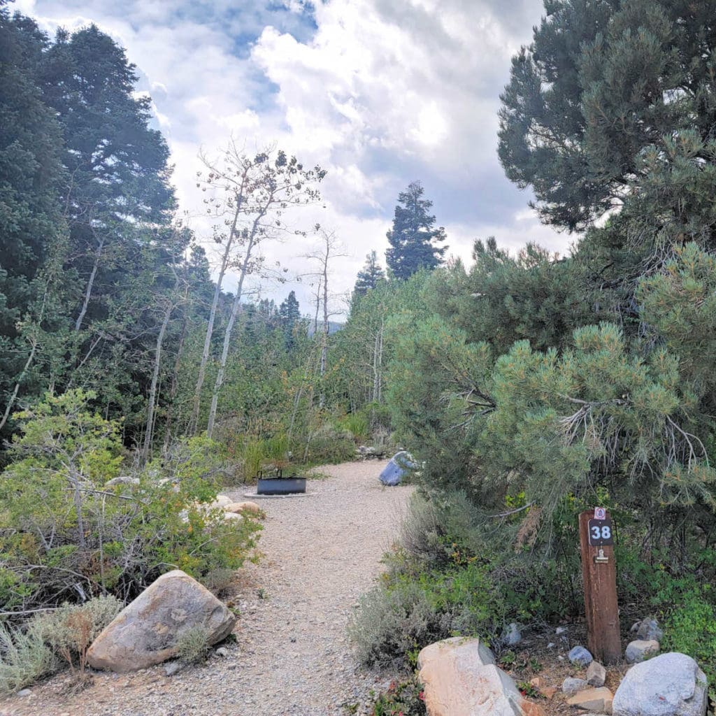 Campsite 38 Baker Creek Campground Great Basin National Park