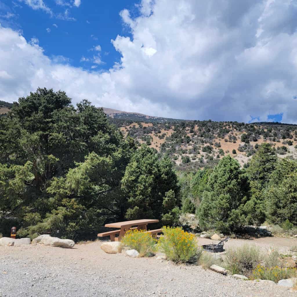 Campsite 5 Baker Creek Campground Great Basin National Park