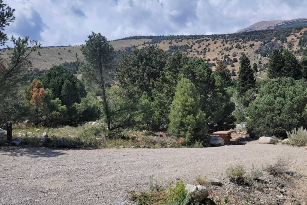 Campsite 6 Baker Creek Campground Great Basin National Park