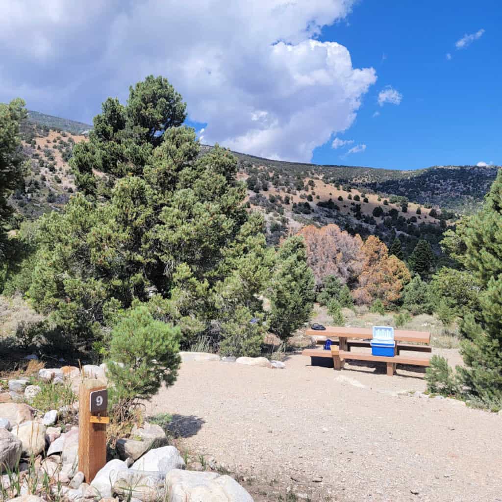 Campsite 9 Baker Creek Campground Great Basin National Park