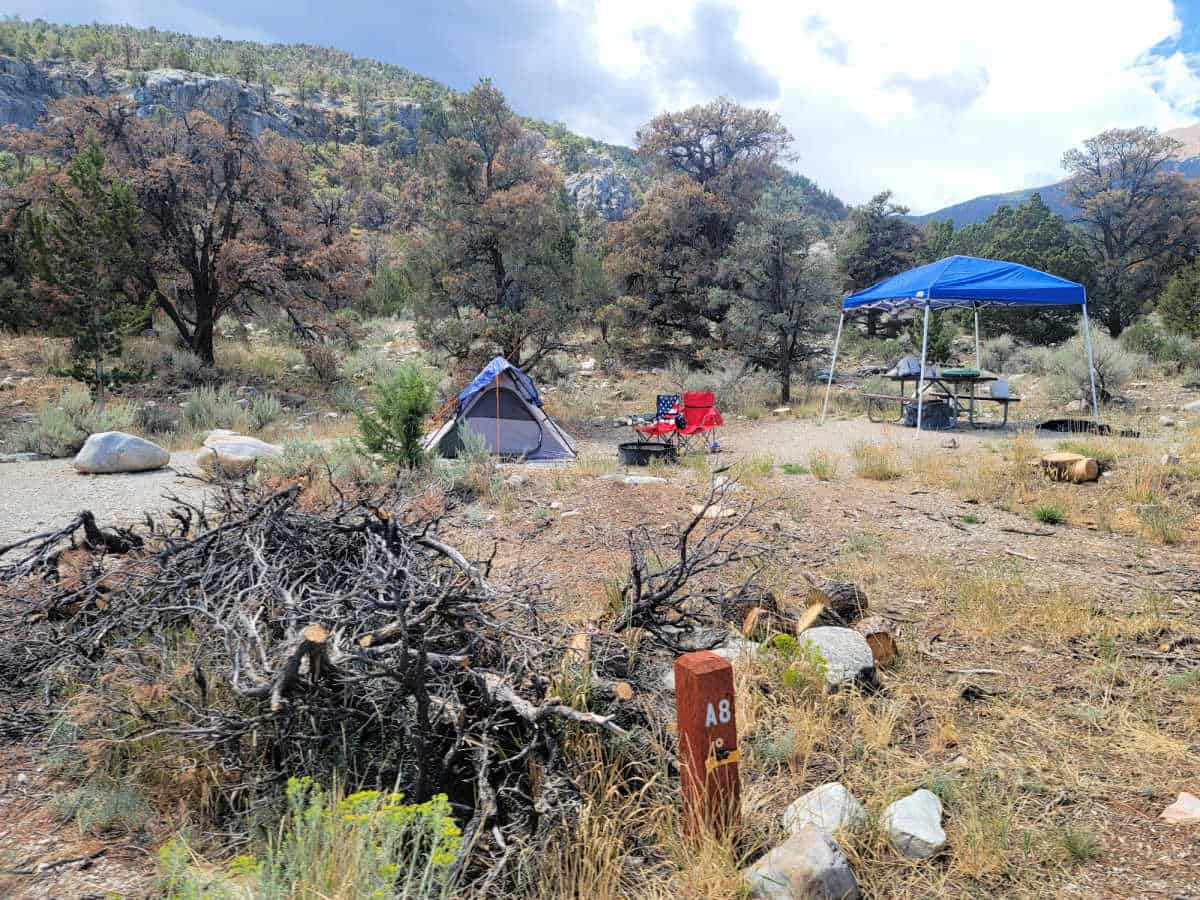 Campsite A8 Grey Cliffs Campground Great Basin National Park