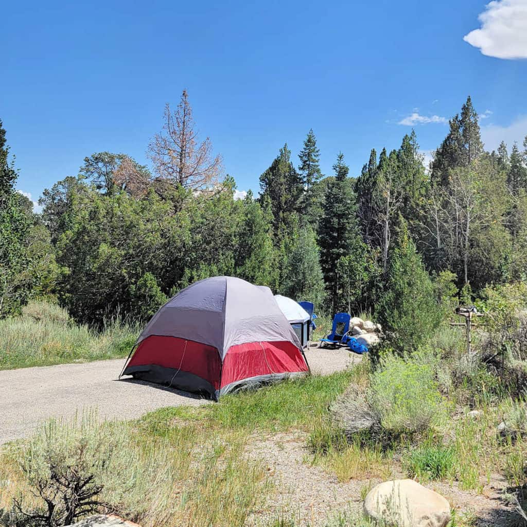 Campsite in Lower Lehman Creek Campground Great Basin National Park