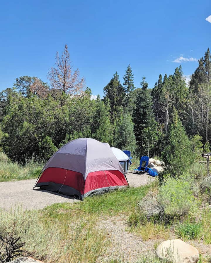 Campsite in Lower Lehman Creek Campground Great Basin National Park