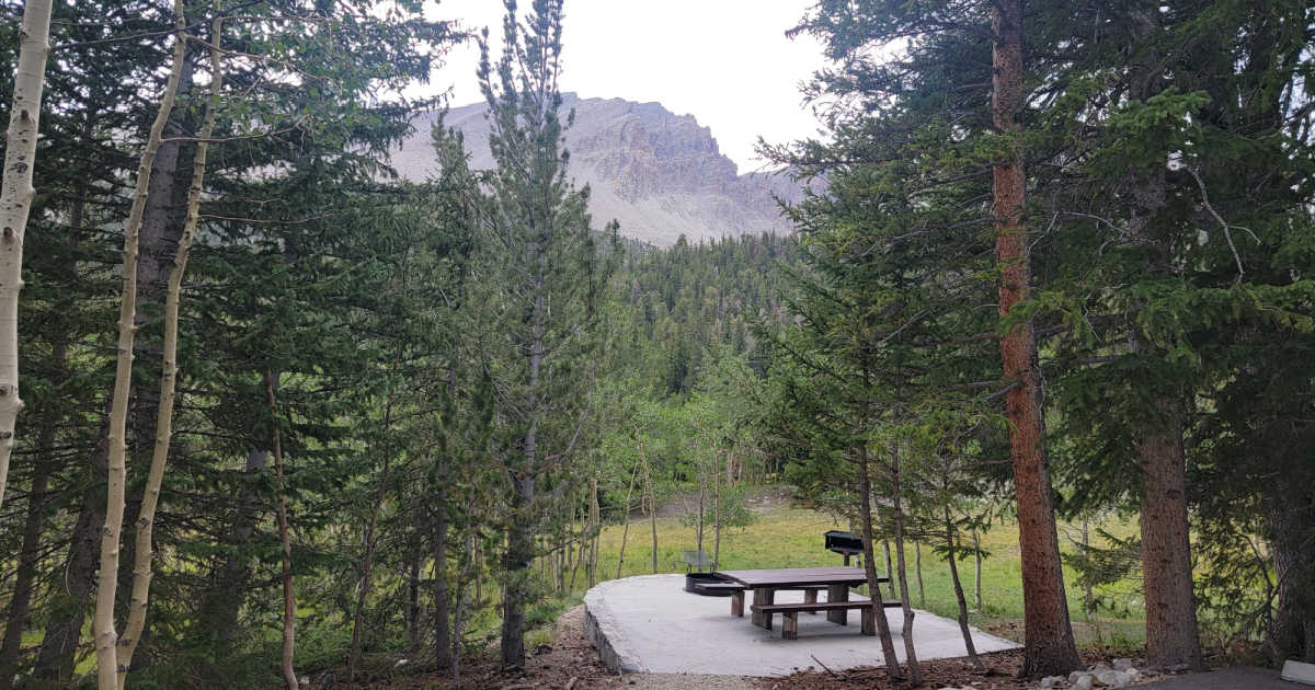 Epic Guide To Wheeler Peak Campground In Great Basin National Park In Nevada 