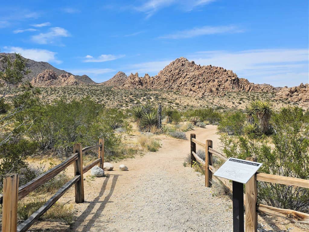 Indian Cove Trail Joshua Tree National Park