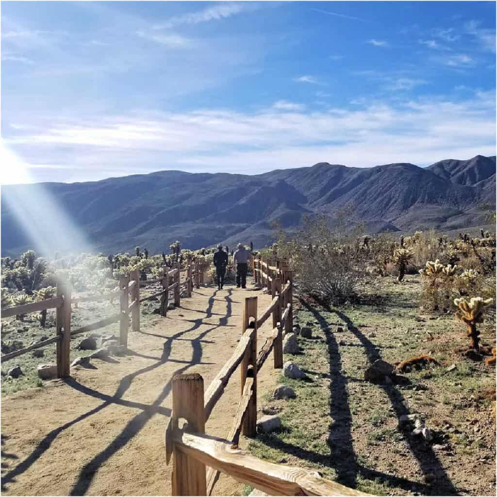 Park Rangers hiking the Cholla Cactus Garden Trail, one of the great Joshua Tree Hikes