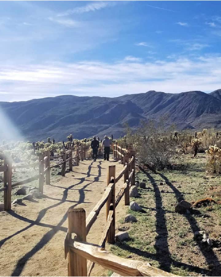 Park Rangers hiking the Cholla Cactus Garden Trail, one of the great Joshua Tree Hikes